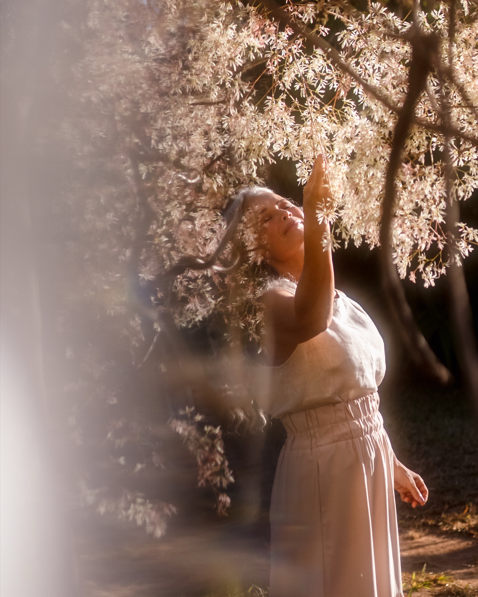 Fotografia por Lisieux