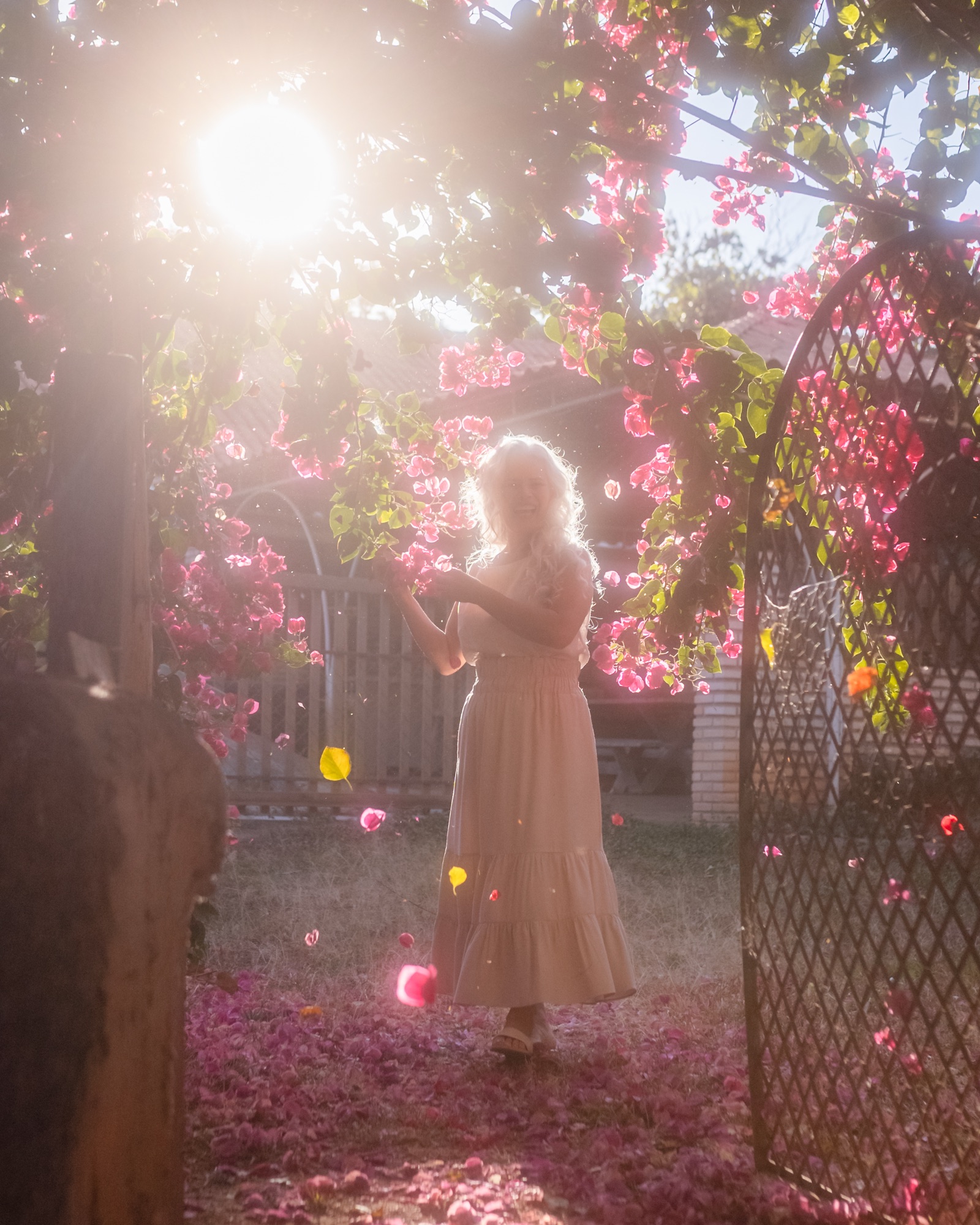 Fotografia por Lisieux